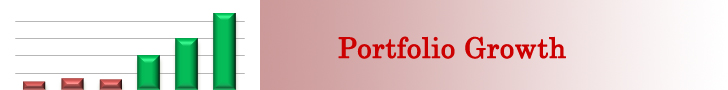 Portfolio Growth Program